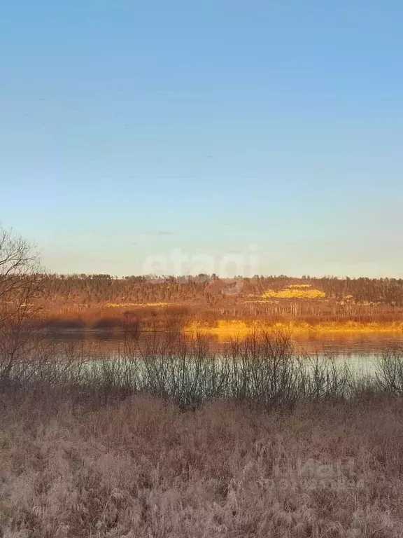 Участок в Иркутская область, Ангарский городской округ, д. Зуй ул. ... - Фото 0