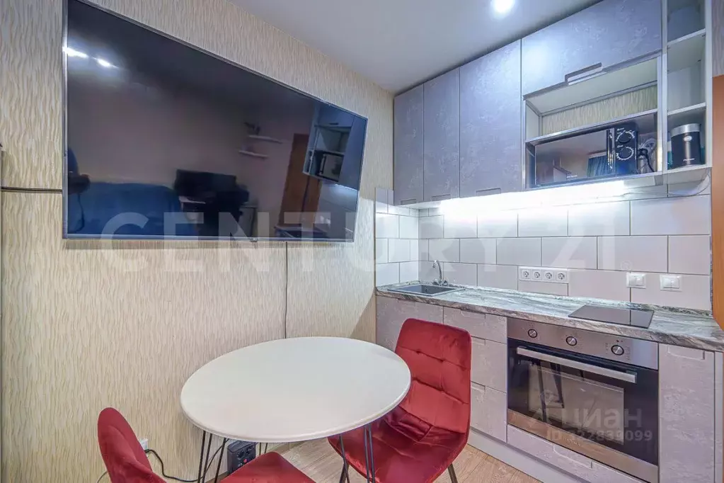 Студия Пермский край, Пермский муниципальный округ, с. Фролы ул. ... - Фото 1