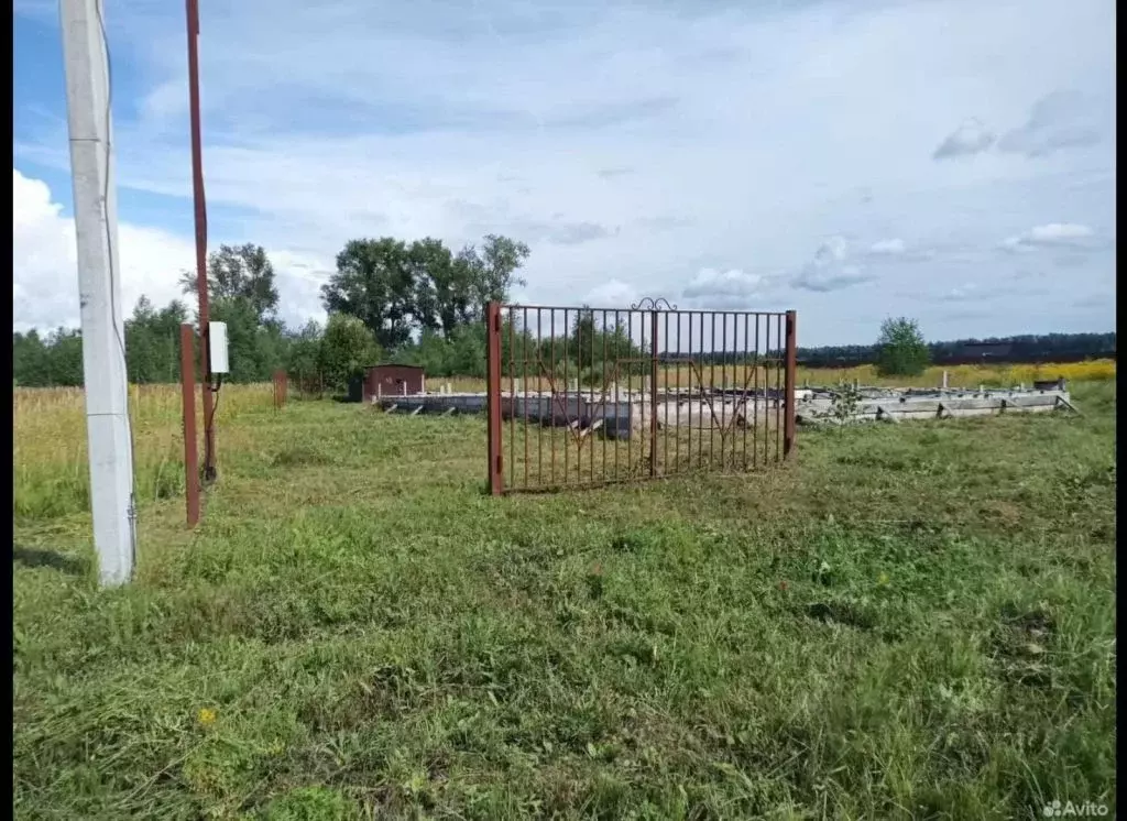 Участок в Нижегородская область, Богородский муниципальный округ, д. ... - Фото 1