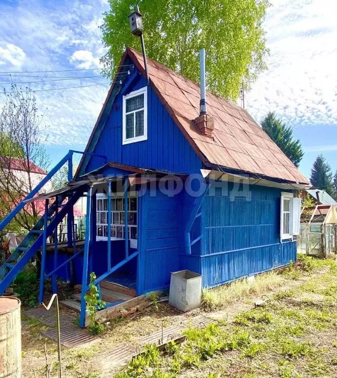 Дом в Новосибирская область, Новосибирский район, Кудряшовский ... - Фото 0