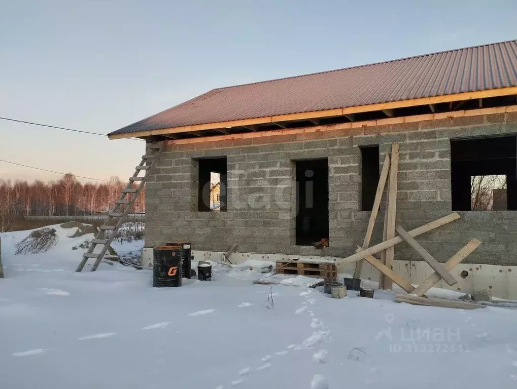 Дом в Тюменская область, Тюменский район, с. Червишево ул. Землянская ... - Фото 1