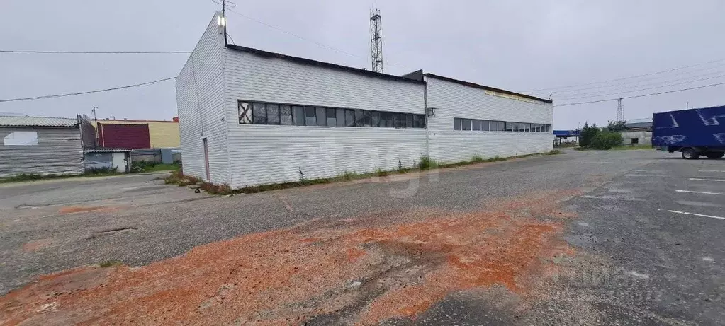 Склад в Ямало-Ненецкий АО, Новый Уренгой Территория Восточная ... - Фото 0