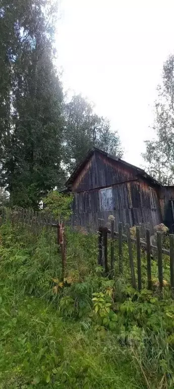Участок в Томская область, Томский район, Богашевское с/пос, Шахтер ... - Фото 1