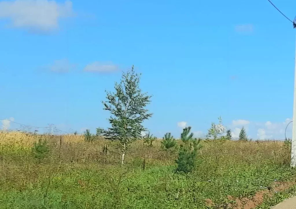 Участок в Удмуртия, Воткинский район, д. Сидоровы Горы  (1.0 сот.) - Фото 1