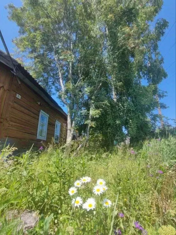 Дом в Иркутская область, Иркутский муниципальный округ, пос. Большая ... - Фото 1