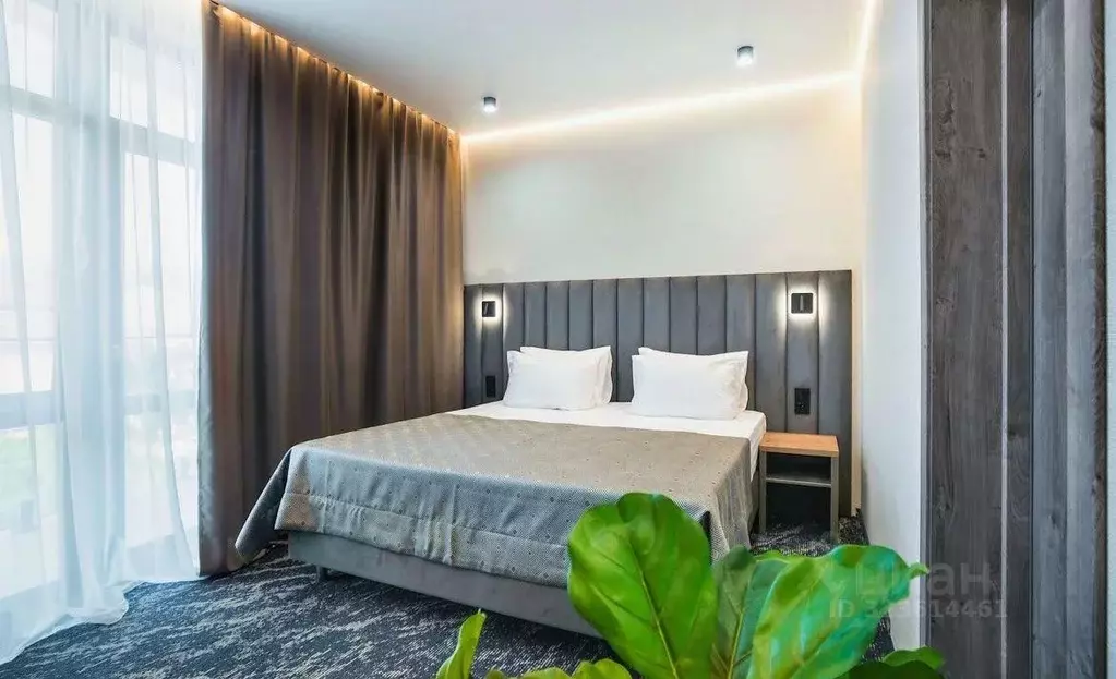 Комната Краснодарский край, Геленджик Десантная ул., 44Б (30.0 м) - Фото 1