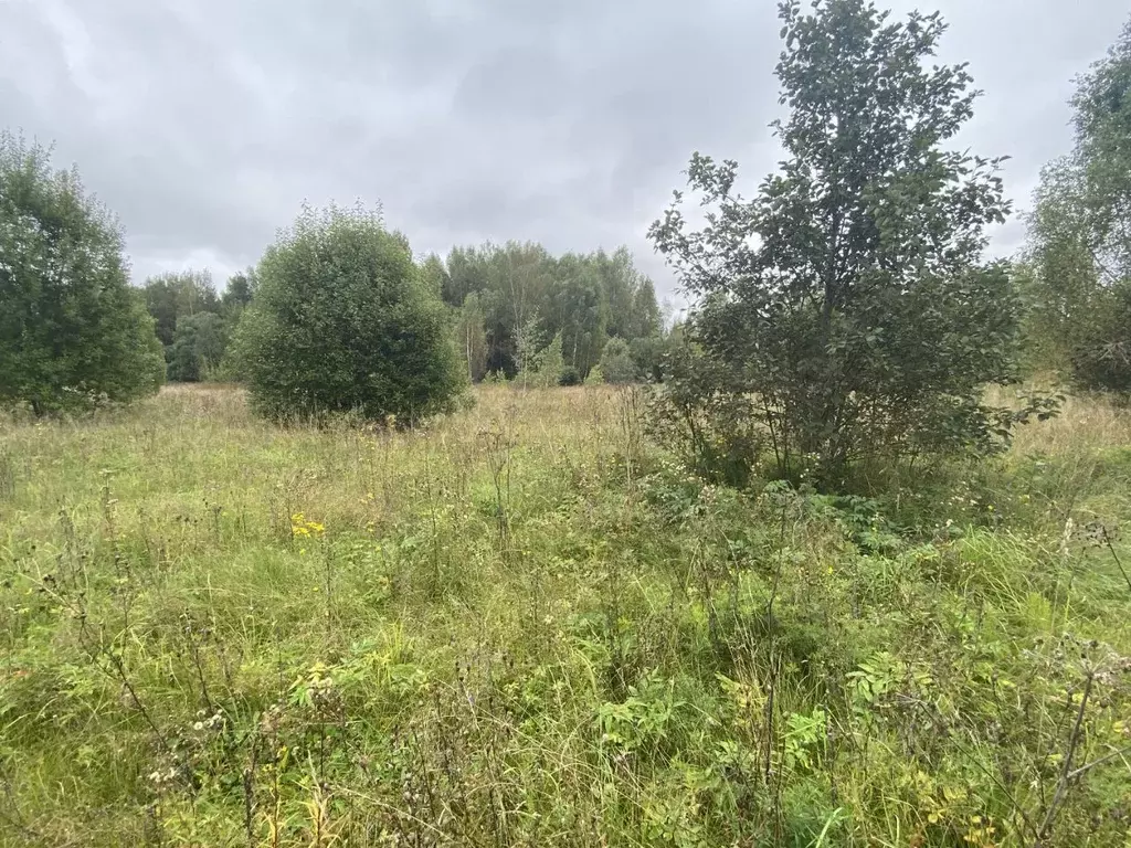 Участок в Московская область, Истра муниципальный округ, д. Родионцево ... - Фото 2