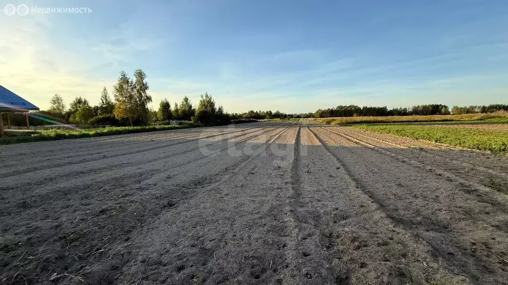 Участок в Красносельский район, Шолоховское сельское поселение, ... - Фото 1