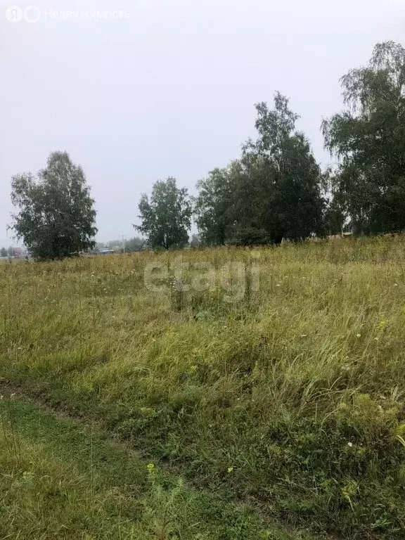 Участок в Ордынский район, село Красный Яр (15 м) - Фото 1