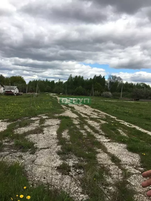 Участок в Пензенская область, Бессоновский район, с. Лопатки ул. В. ... - Фото 1