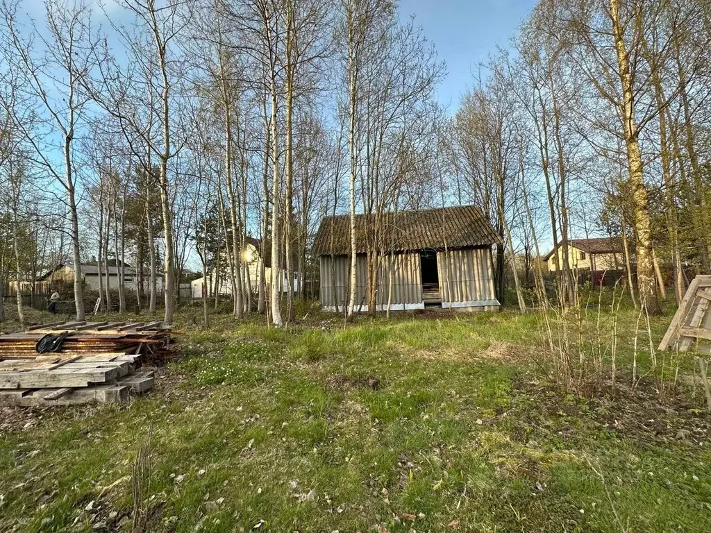 Участок в Ленинградская область, Всеволожский район, Сертоловское ... - Фото 1
