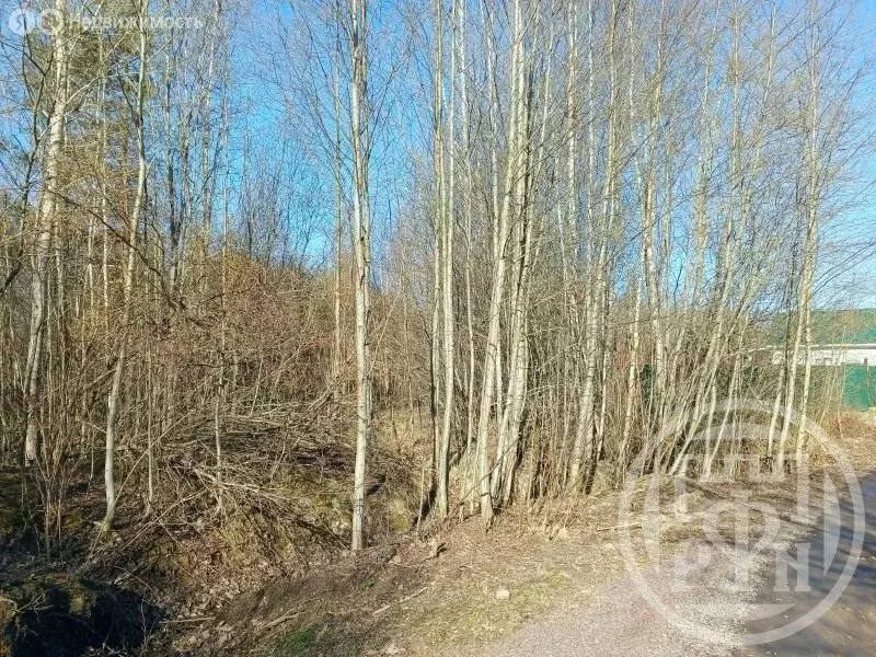 Участок в Выборгский район, Красносельское сельское поселение, посёлок ... - Фото 2