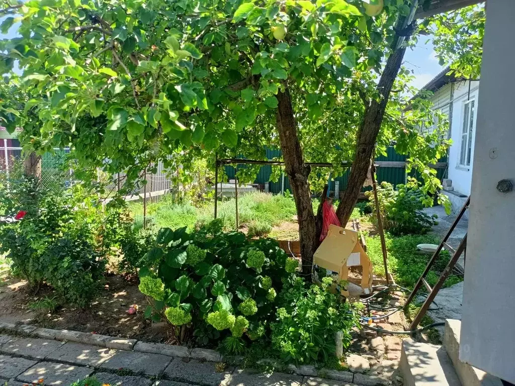 Дом в Волгоградская область, Волгоград Новосокольническая ул., 39 (52 ... - Фото 0