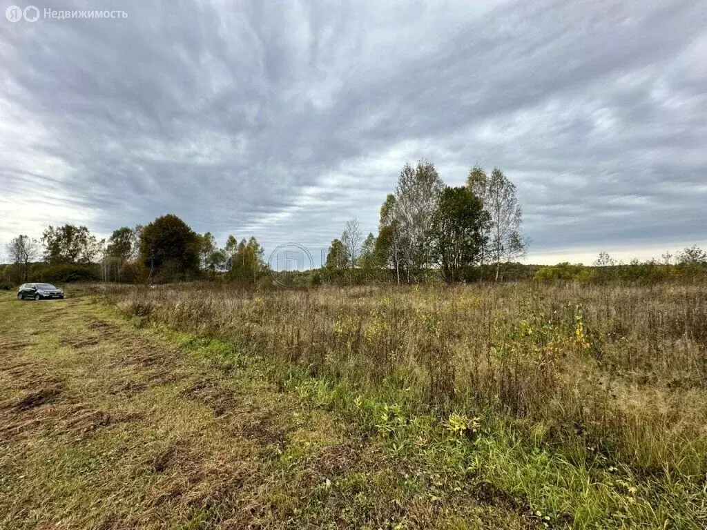 Участок в Тверская область, Старицкий муниципальный округ, деревня ... - Фото 1