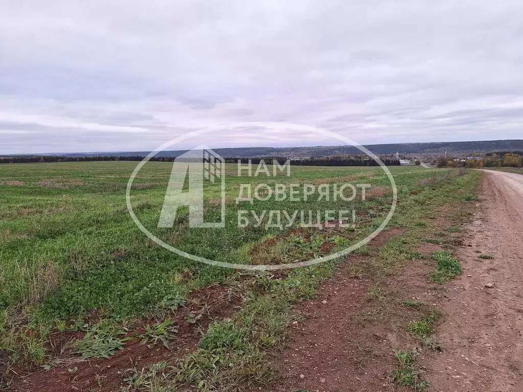 Участок в Пермский край, Кунгурский муниципальный округ, с. Неволино ... - Фото 2