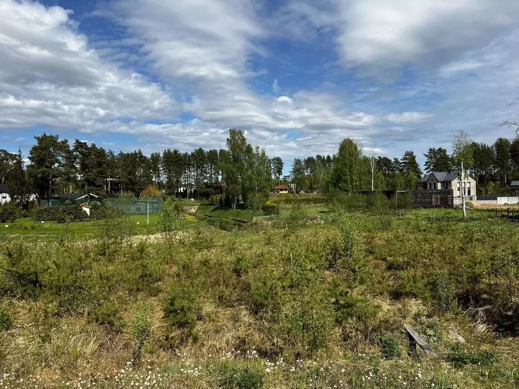 Участок в Санкт-Петербург пос. Репино, Волнистая ул. (84.0 сот.) - Фото 2