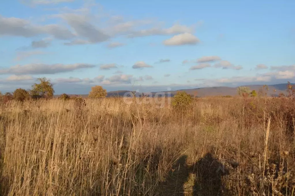 Участок в Краснодарский край, Новороссийск городской округ, ... - Фото 1