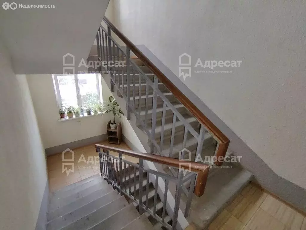 1-комнатная квартира: Волгоград, улица Помнющего, 3 (35 м) - Фото 0