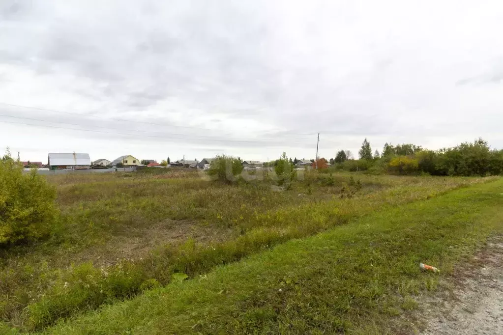 Участок в Тюменская область, Тюменский муниципальный округ, д. ... - Фото 1