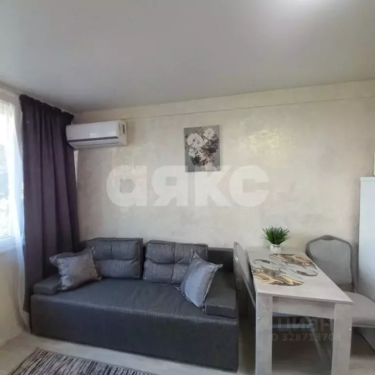 Студия Краснодарский край, Сочи Донская мкр, ул. Гранатная, 4 (15.0 м) - Фото 2