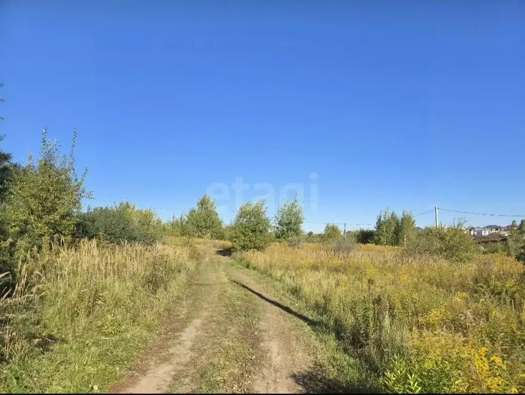 Участок в Брянская область, Брянский район, Добрунское с/пос, д. ... - Фото 2
