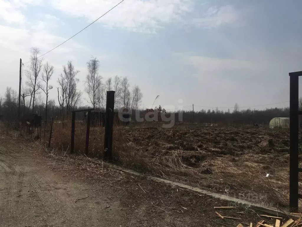 Участок в Еврейская автономная область, Смидовичский район, Минерал ... - Фото 1