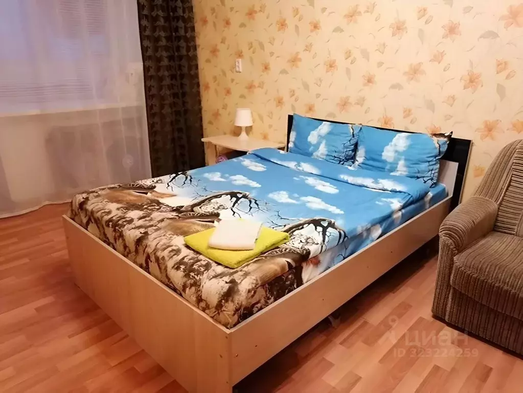 1-к кв. Нижегородская область, Дзержинск ул. Ульянова, 4А (29.0 м) - Фото 1