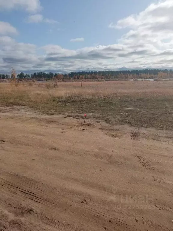 Участок в Саха (Якутия), Якутск городской округ, с. Владимировка ул. ... - Фото 2