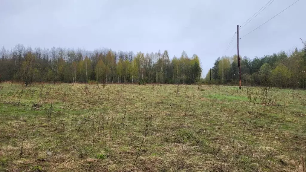 Участок в Тверская область, Рамешковский муниципальный округ, д. ... - Фото 1