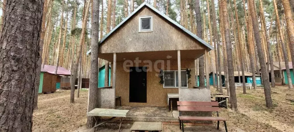 Дом в Воронежская область, Борисоглебский городской округ, с. Чигорак  ... - Фото 0