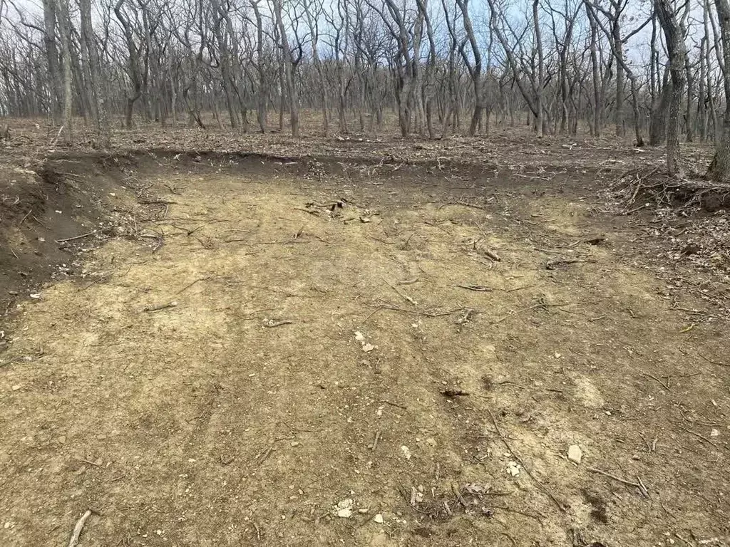 Участок в Краснодарский край, Анапа  (56.0 сот.) - Фото 2