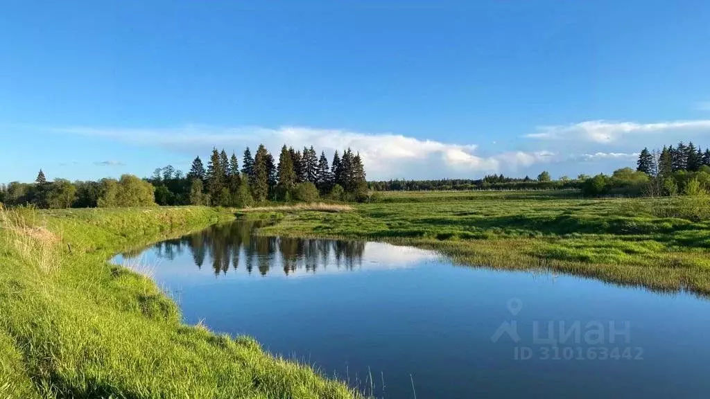 Участок в Московская область, Можайский городской округ, с. Борисово  ... - Фото 0