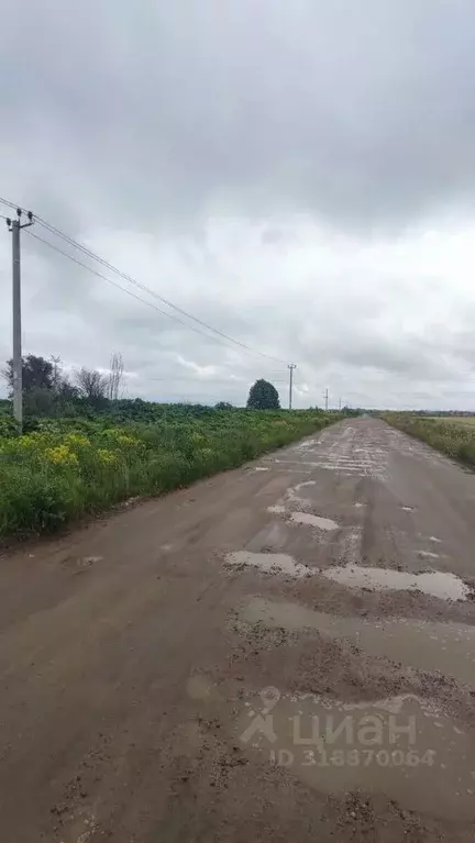 Участок в Ленинградская область, Ломоносовский район, Гостилицкое ... - Фото 1