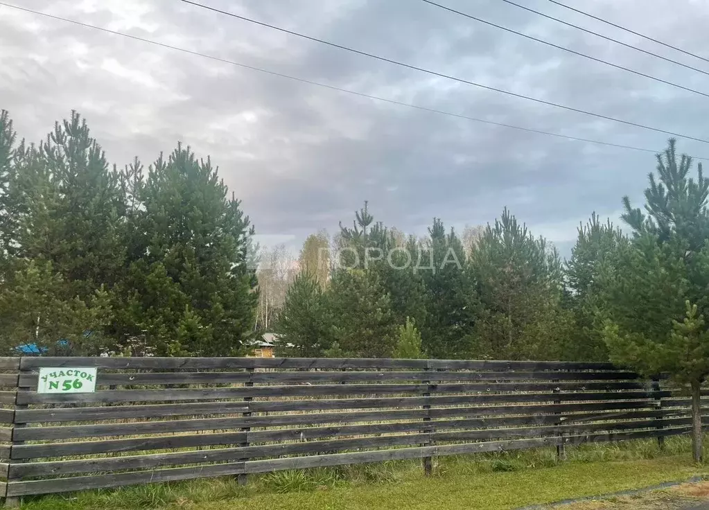Участок в Новосибирская область, Новосибирский район, Кубовинский ... - Фото 1