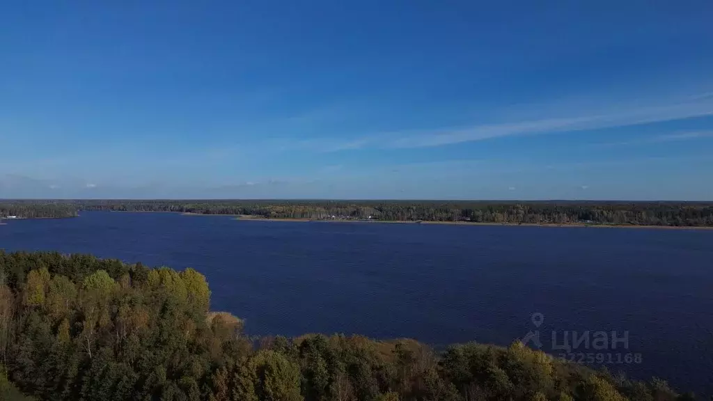 Участок в Ленинградская область, Выборгский район, Приморское ... - Фото 1