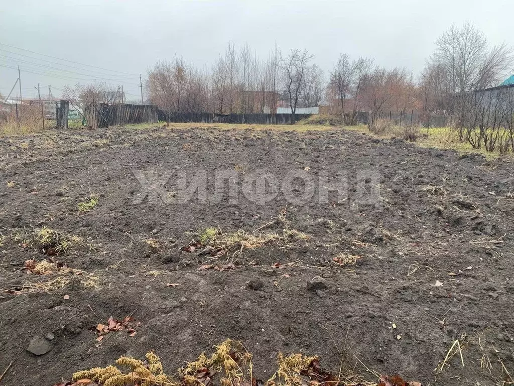 Участок в Новосибирская область, с. Новолуговое ул. Андреева (16.0 ... - Фото 0
