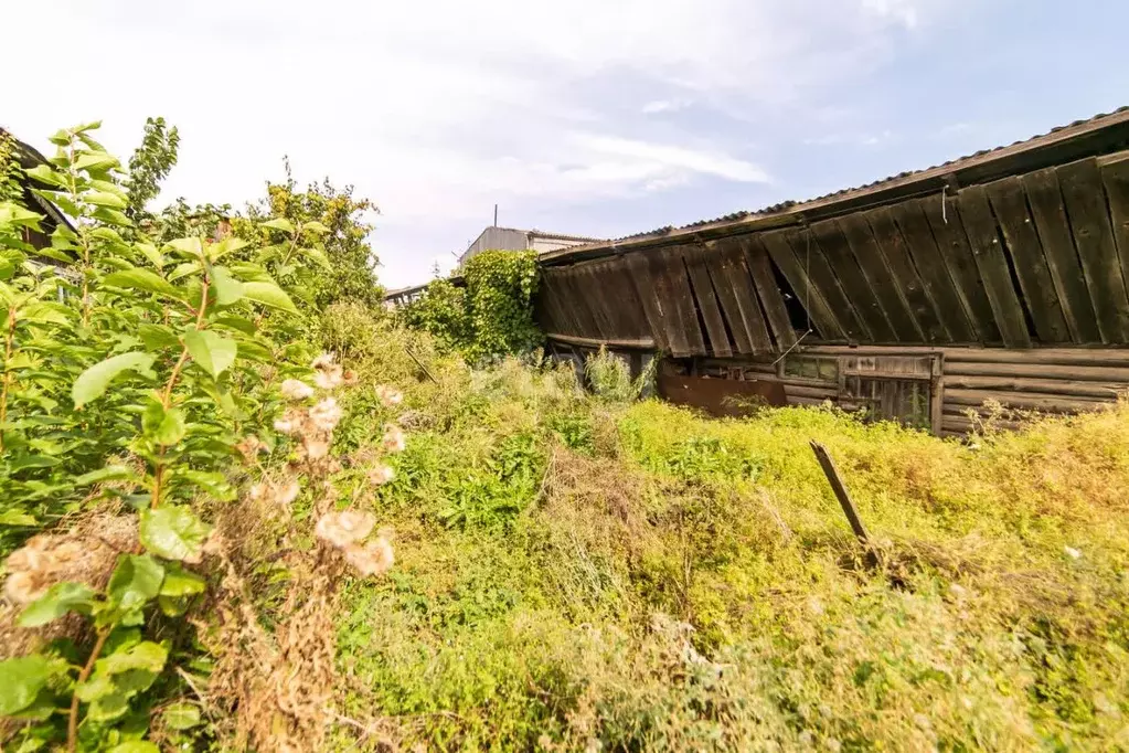 Дом в Амурская область, Благовещенск Северная ул., 238/7 (43 м) - Фото 1
