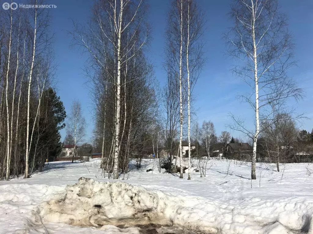 Участок в Калужская область, Боровский муниципальный округ, деревня ... - Фото 1