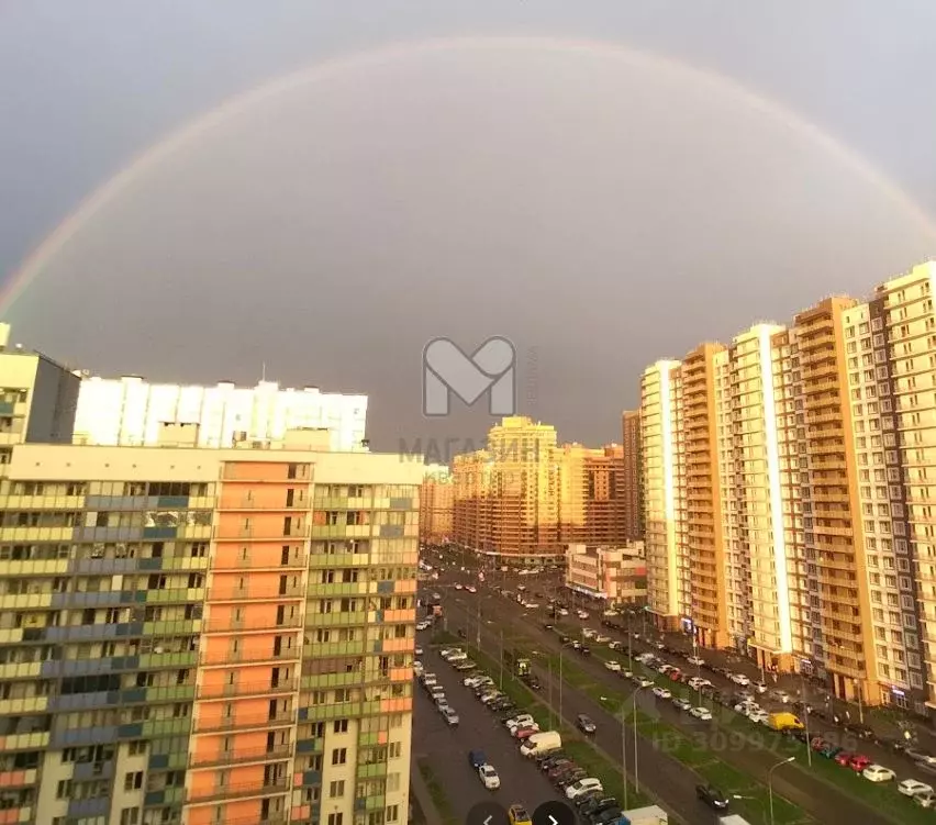 Торговая площадь в Ленинградская область, Мурино Всеволожский район, ... - Фото 1