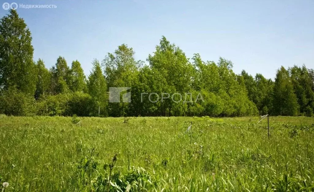 Участок в Новосибирский район, Кудряшовский сельсовет, посёлок ... - Фото 2