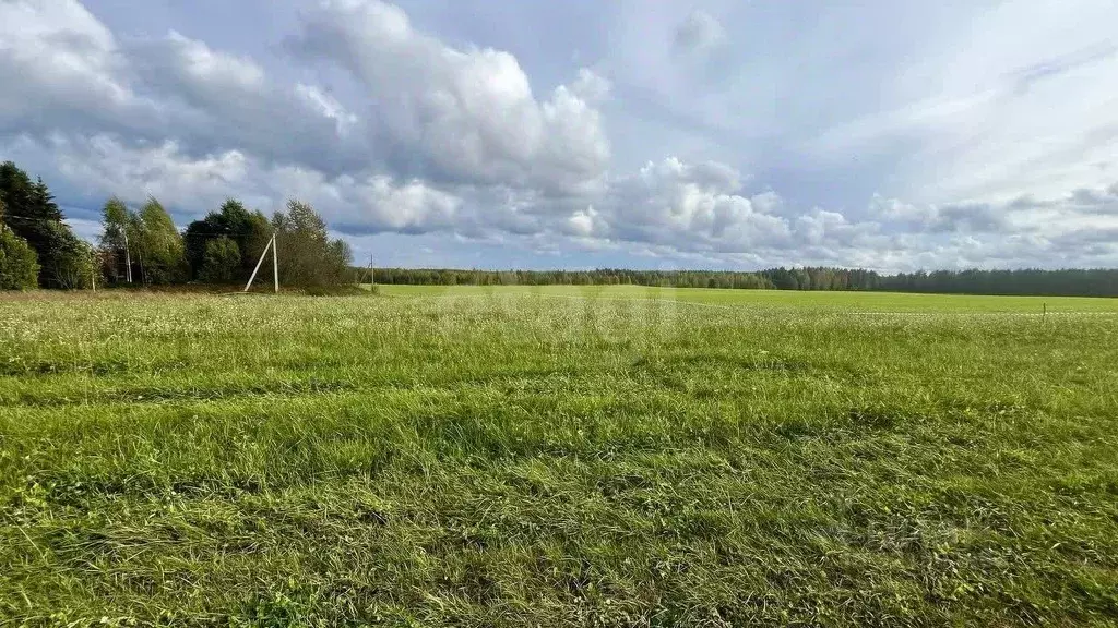 Участок в Ленинградская область, Киришский район, Будогощское ... - Фото 1