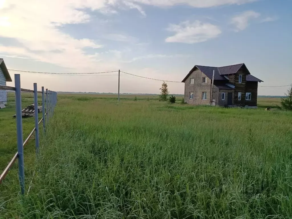 Участок в Новосибирская область, Новосибирский район, Толмачевский ... - Фото 1