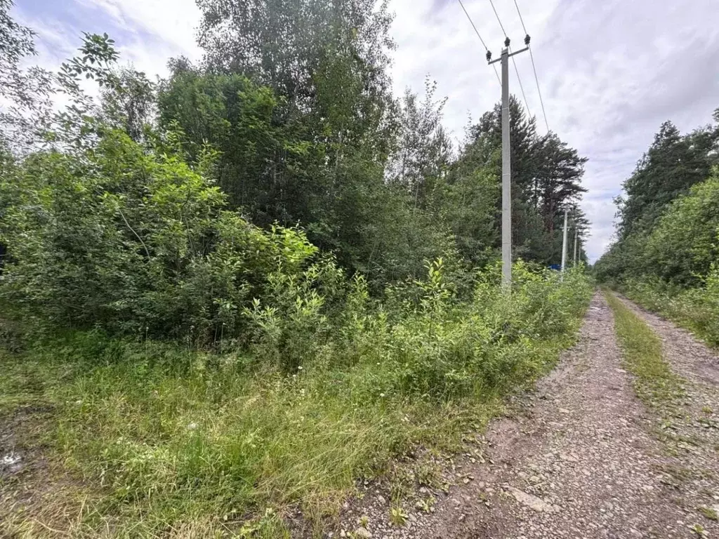 Участок в Свердловская область, Екатеринбург Горный Щит СНТ, 44 (10.0 ... - Фото 0