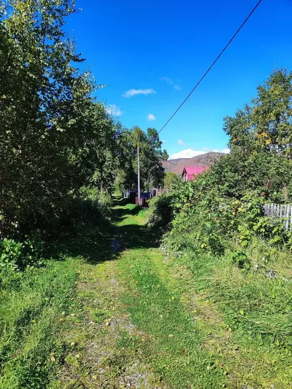 Участок в Камчатский край, Елизовский муниципальный округ, Полет ... - Фото 2