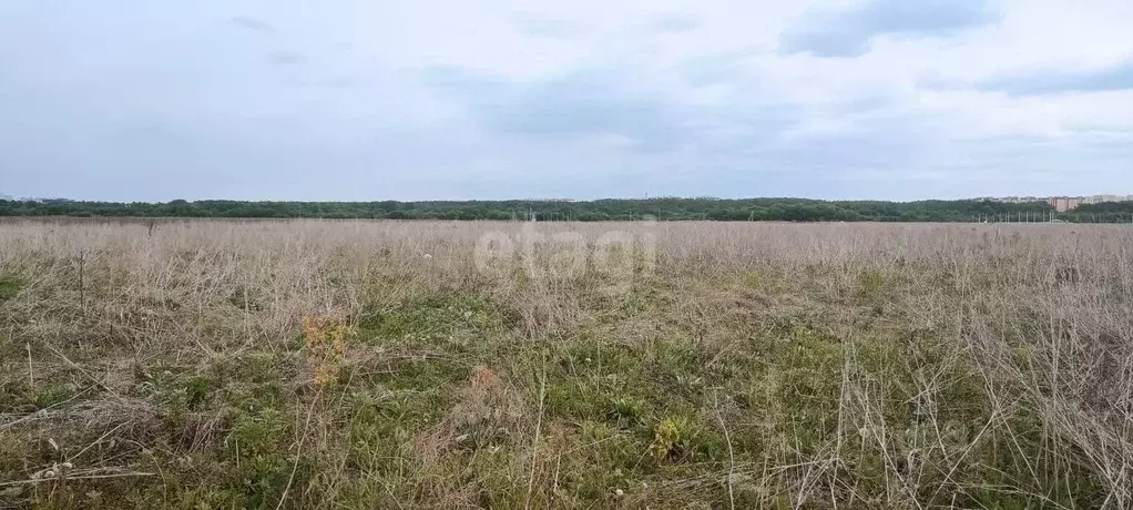 Участок в Воронежская область, Семилукский район, с. Девица, Поречье-2 ... - Фото 1