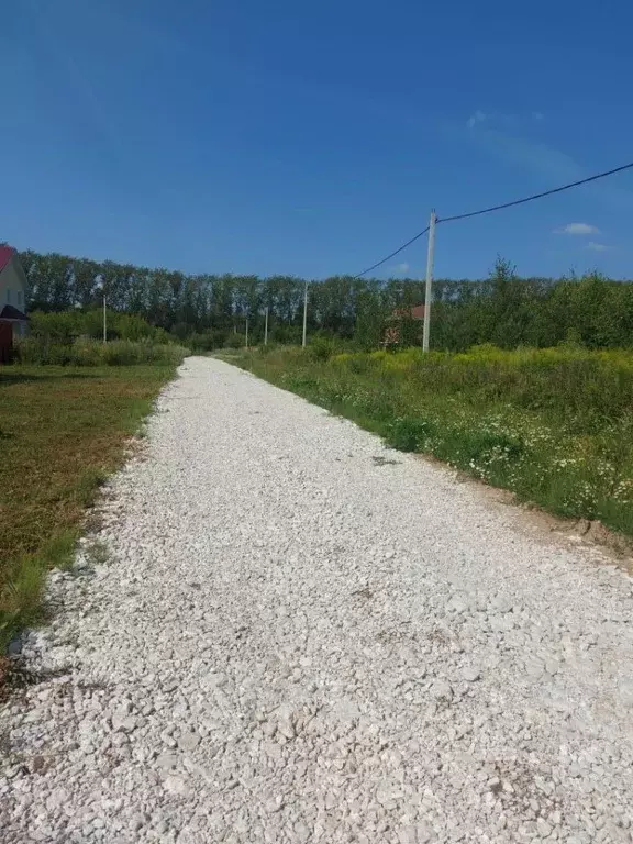 Участок в Нижегородская область, Богородский муниципальный округ, с. ... - Фото 1