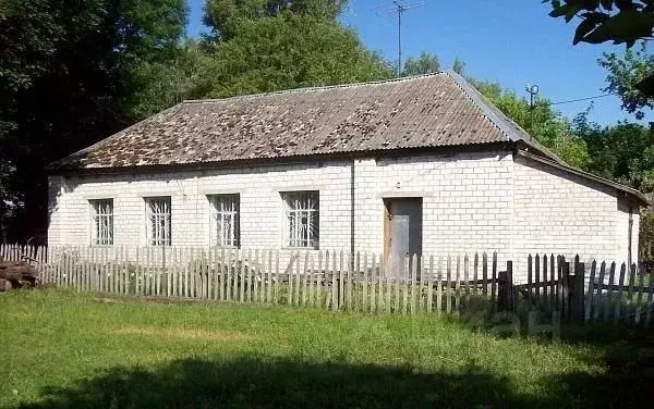 Помещение свободного назначения в Брянская область, Стародубский ... - Фото 0