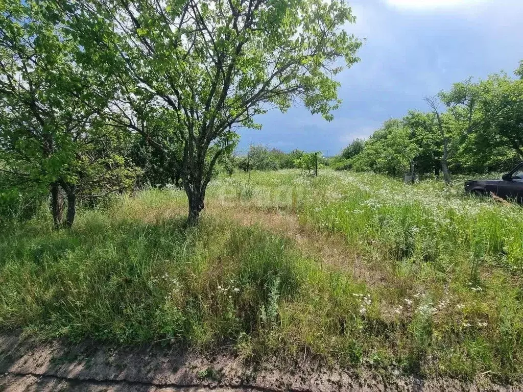 Участок в Белгородская область, Корочанский муниципальный округ, ... - Фото 1