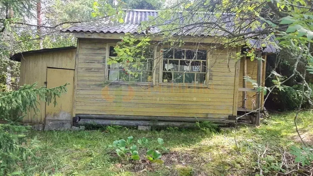 дом в ленинградская область, выборгский район, рощинское городское . - Фото 1