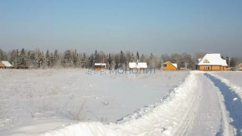 Участок в Нижегородская область, Богородский муниципальный округ, с. ... - Фото 1